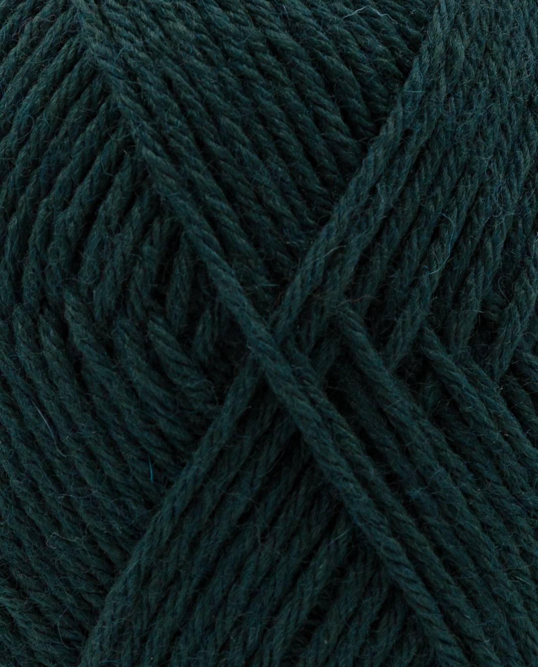 Phildar Phil Imaginaire 3.5 2137 Cedar - close-up