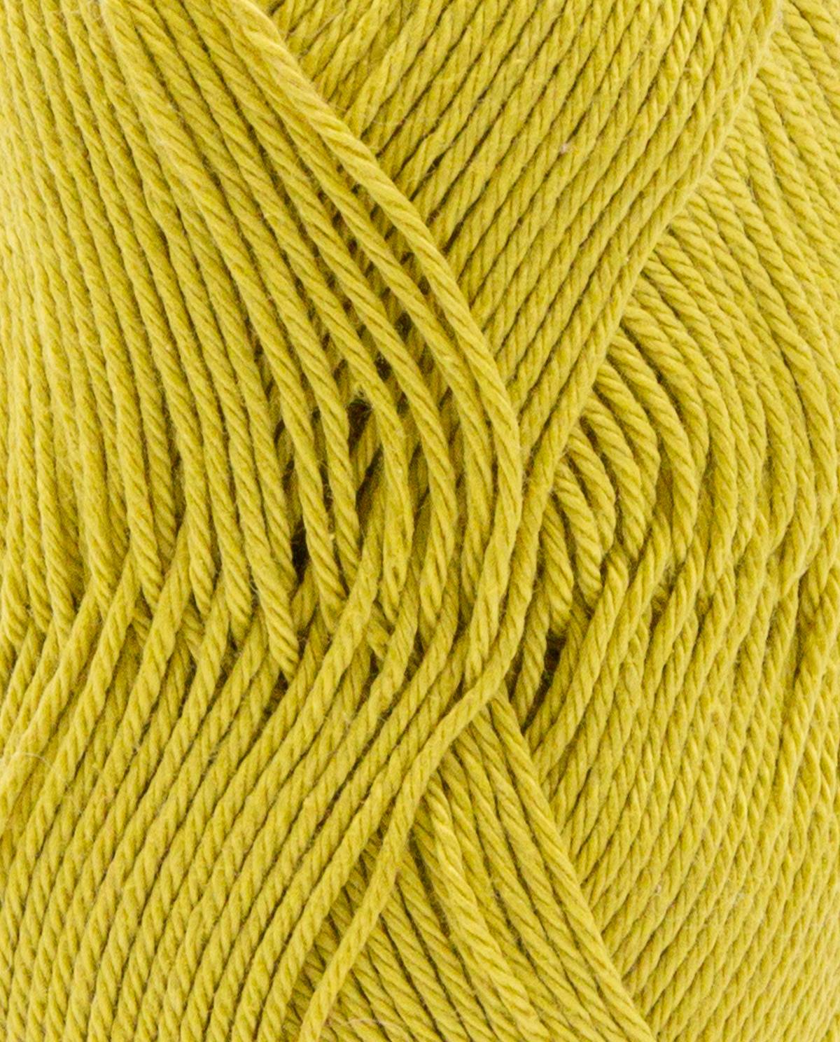 Phildar Phil Coton 3 2046 Absint sfeerfoto 2