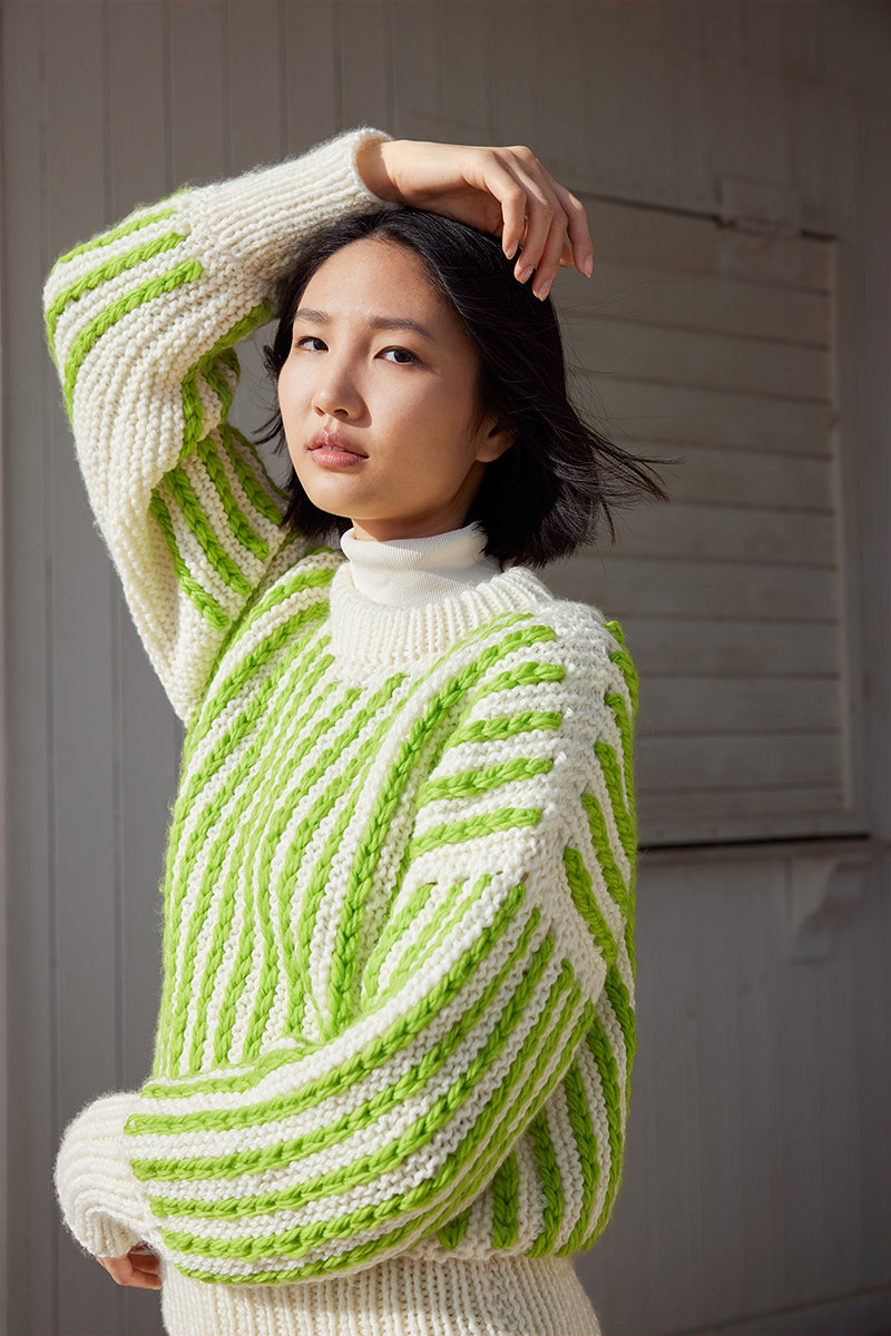 Lang Yarns Wooladdicts #17 DE/FR/NL