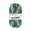 Lang Yarns Super Soxx Color 4-Fach 0541 Groen/Benzine 1149 Machataart