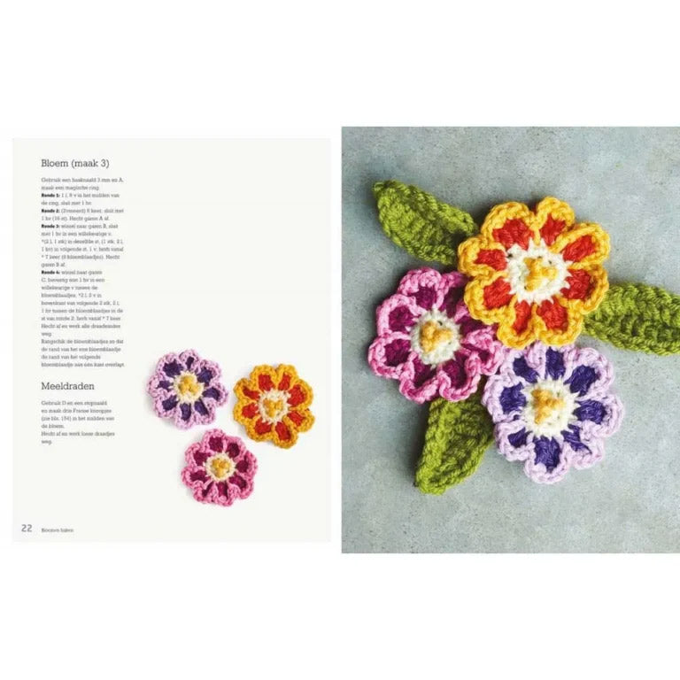 Binnenpagina uit Bloemen haken met kleurrijke gehaakte bloemen en bladeren