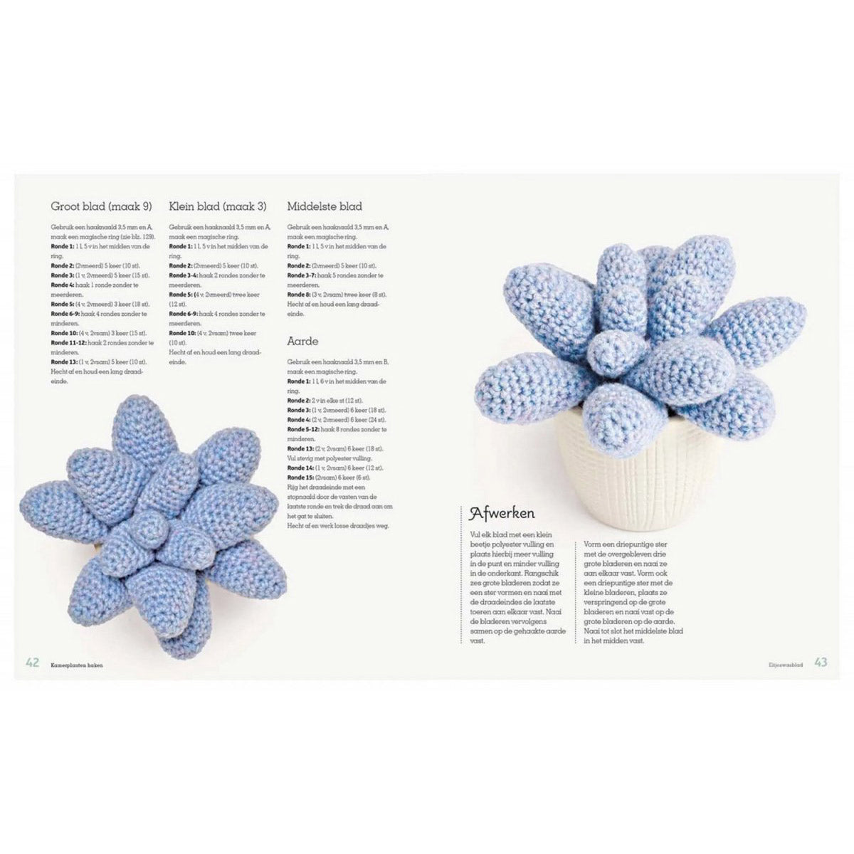 Binnenpagina uit Kamerplanten haken met patroon voor een blauwe gehaakte vetplant