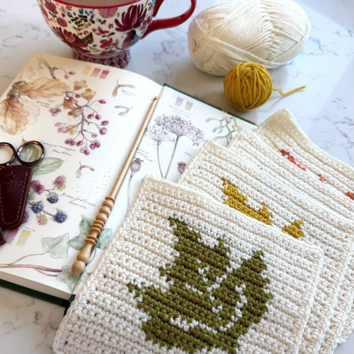 Stylecraft Autumn CAL – Love Letters to Autumn – MadebyAnita Misty Moors Special DK DK Garnpaket