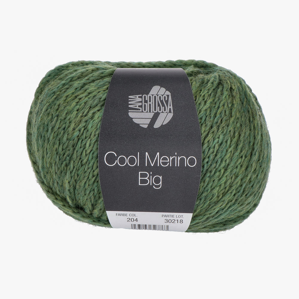 Lana Grossa Cool Merino Big 204 Groen