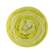 Lana Grossa Gomitolo Tono 1032 Lentegroen/Pistache/Pastelgroen