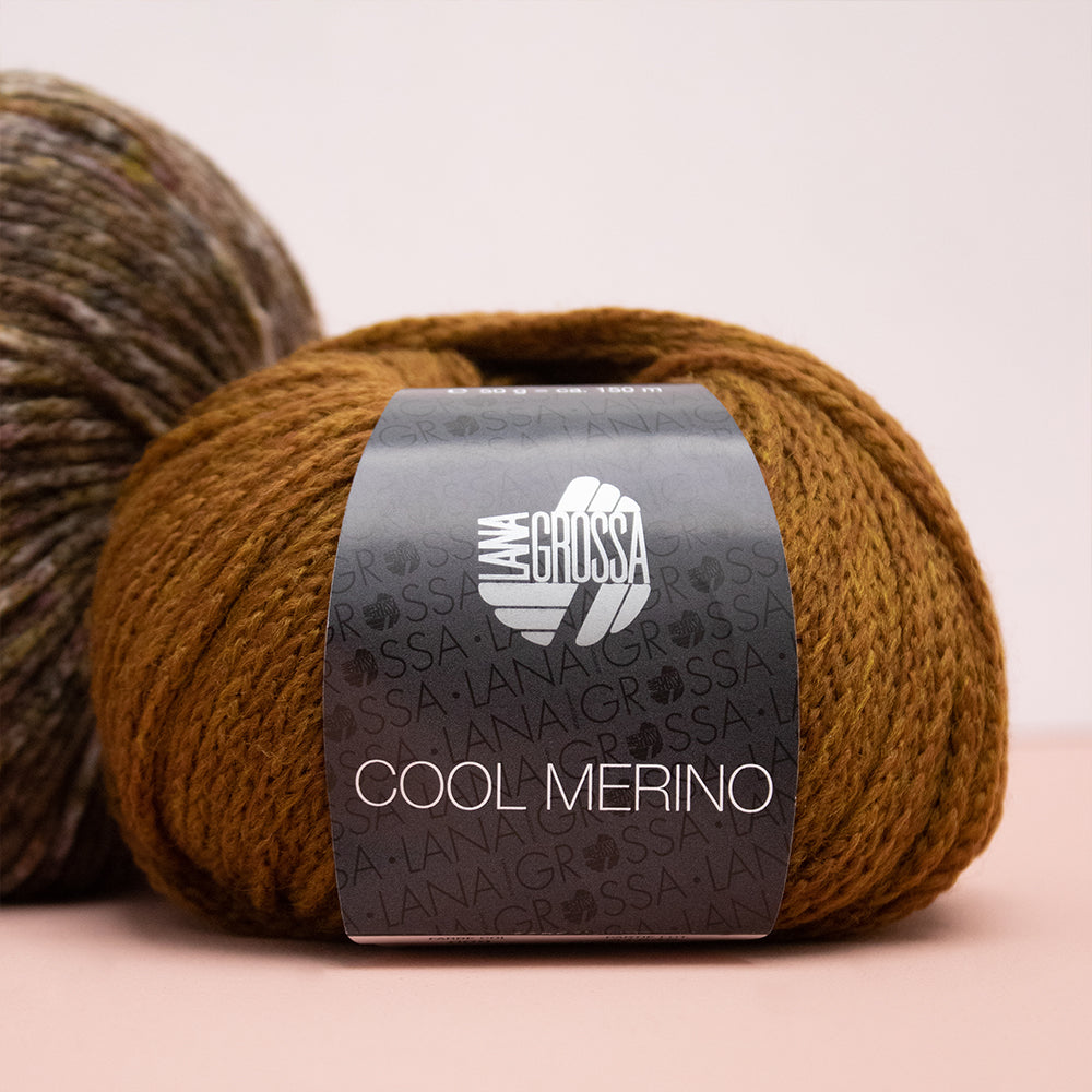 Sfeerbeeld met Lana Grossa Cool Merino Uni (4)