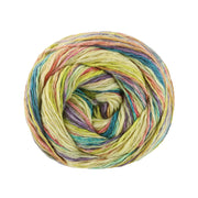 Lana Grossa Gomitolo California 3043 Vanille/fuchsia/pistache/blauwviolet/petrolblauw/oudroze