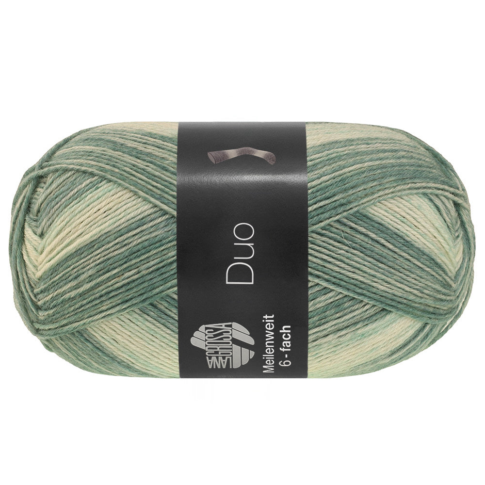 Lana Grossa Meilenweit 6-Fach 150 Duo 9725 Groen-/Lichtgrijs - bol garen