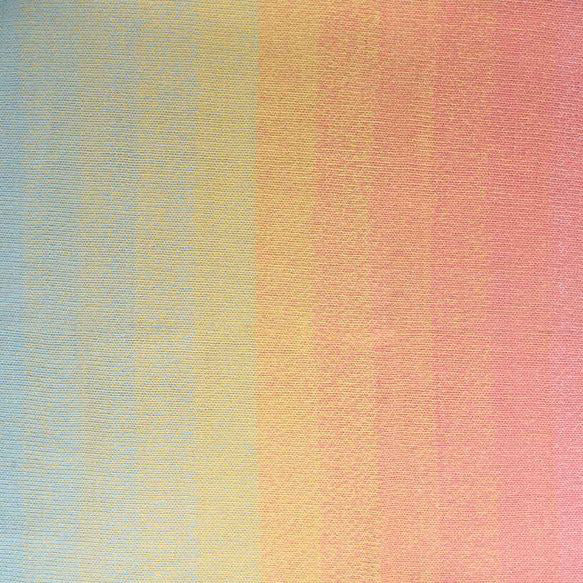 Scheepjes Cotton Whirl