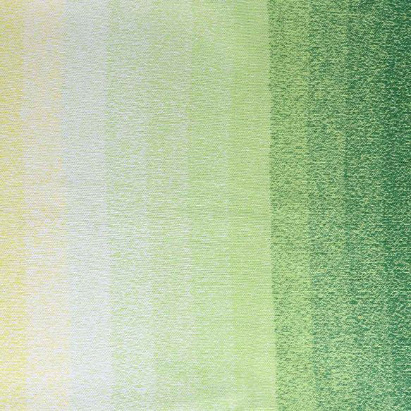 Scheepjes Cotton Whirl