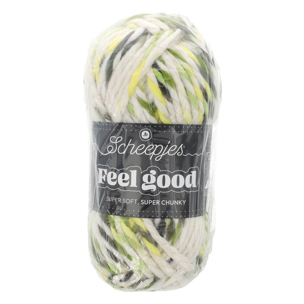 Scheepjes Feel Good (2)