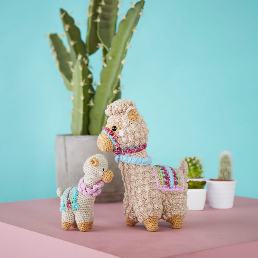 Sfeerbeeld met Stylecraft Special dk