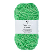 Yarn and Colors Charming 086 Peony Leaf