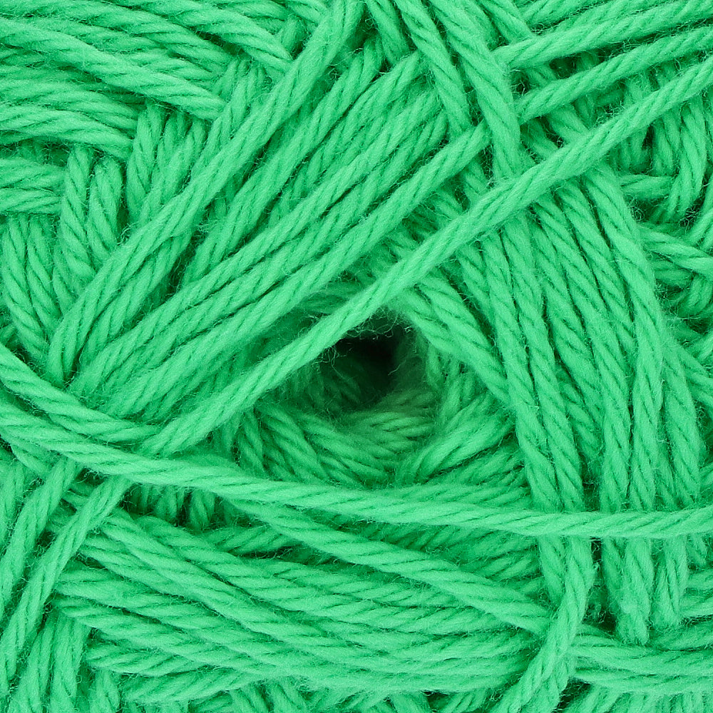 Yarn and Colors Favorite 086 Peony Leaf (2)