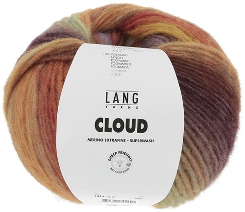 Lang Yarns Cloud 017 Braun/Rot/Mint