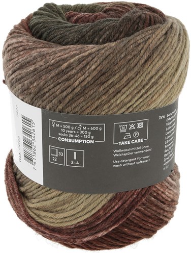 Lang Yarns Move 6-Fach 006 bruin/camel/kastanje
