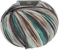 Lang Yarns Move 8-Fach 0001