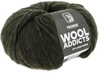 Lang Yarns Promise 0218 Kiefer-2