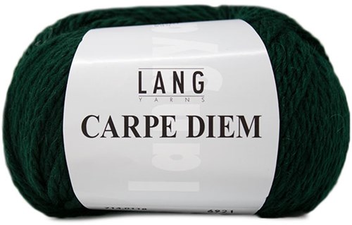 Lang Yarns Carpe Diem 118 Dark Green Mélange