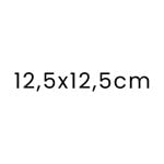 12.5 x 12.5 cm