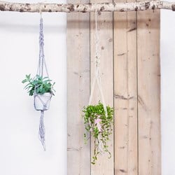 Makrameeanleitung Blumenampel