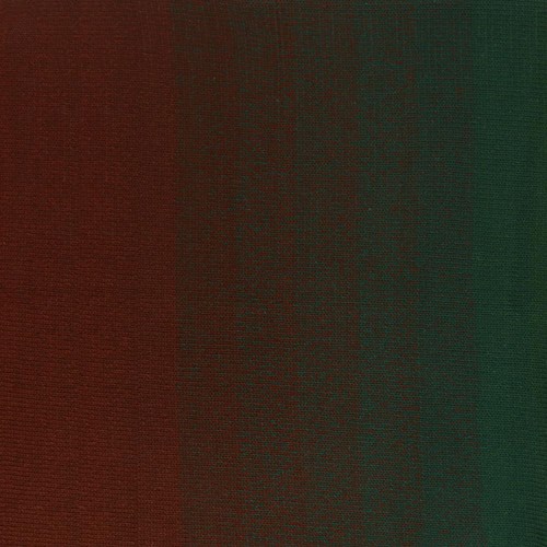 Scheepjes Cotton Whirl 727 Woodland Walk-2