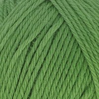 Scheepjes Woolwise 756 Agave Green-2