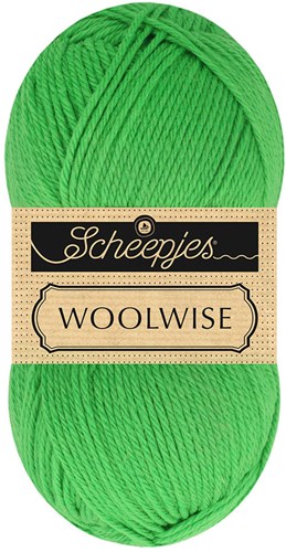 Scheepjes Woolwise 757 Kiwi Green