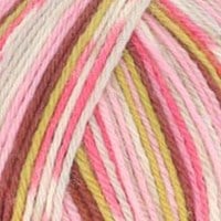 Scheepjes Arcadia Jacquard 1002 Wildfern-2
