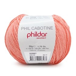 Phildar Phil Cabotine 1396 Sorbet