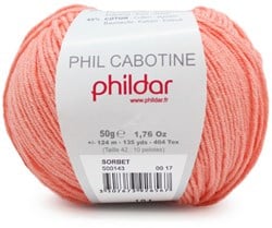 Phildar Phil Cabotine 1396 Sorbet