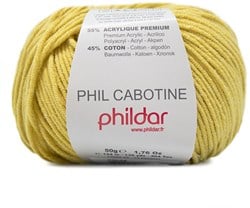 Phildar Phil Cabotine