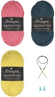 Scheepjes Anfänger-Strickset Colorblock-Schal-3