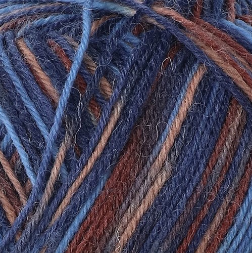 SMC Regia Sockengarn 4-Fäden Color 5171-2