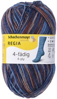SMC Regia Sockengarn 4-Fäden Color 5171