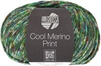 Lana Grossa Cool Merino Print 103