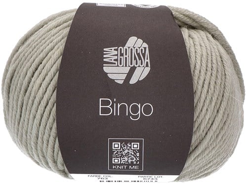 Lana Grossa Bingo 763 Hellgrau