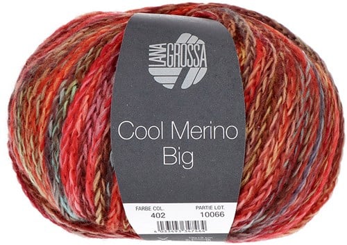 Lana Grossa Cool Merino Big Color 402 Graugrün/Rot/Gelb/Mint/Braun/Rosenholz