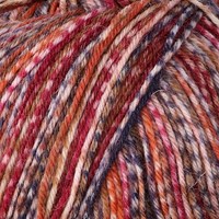SMC Regia Sockengarn 4-Fäden Color 4768-2
