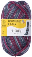 SMC Regia Sockengarn 4-Fäden Color 2896