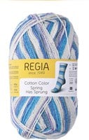 SMC Regia Cotton Color 2467 Close of Winter