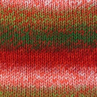 Stylecraft Wonderland Chunky 3802 Rocking Robin-2