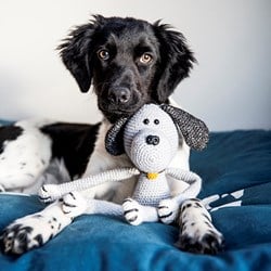 Kuscheltier Hund Max Häkelpaket