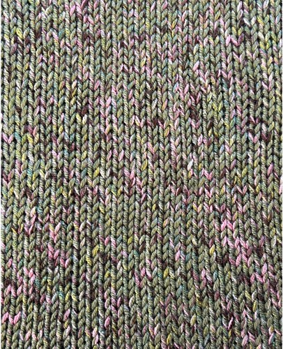 Stylecraft Bella Bella 6203 Angela Fern-2