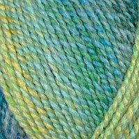 Stylecraft Chromatic 7304 Whispering Willow-2