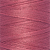 81