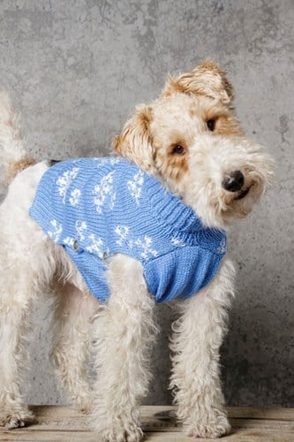 Strickanleitung Stylecraft Special DK No. 9311 Hundejacke-2