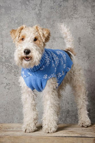 Strickanleitung Stylecraft Special DK No. 9311 Hundejacke-3