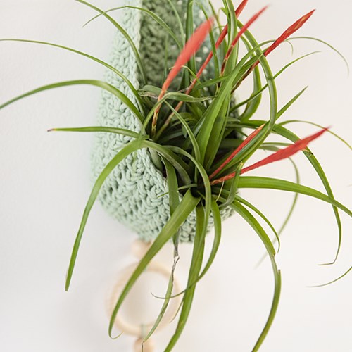 Homedeko Blumenampel Häkelpaket 1 Skandinavisch