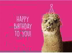 Wollplatz Postkarte - Happy Birthday to You!
